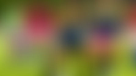 Justin Theys’ inspiring story of hopes and dreams  