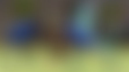 Mzakhe Hlupheko excels in the team environment at Madibaz  