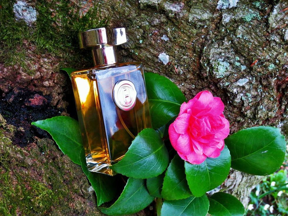 Miniatura: Touch Fred Hayman Para Mujer 100ml