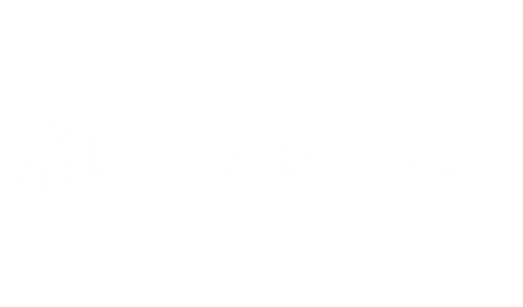 Datadoula logo with cube and circuit icon
