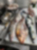 IMG_0529.jpeg