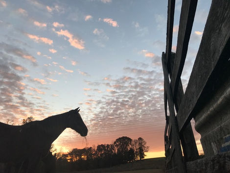 Plans, Dreams, and Bigger Things...