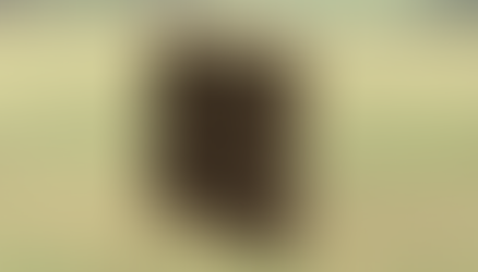 Kräuterwand  neu im Onlineshop.... zur vertikalen Bepflanzung, als Blickfang , Sichtschutz und Dekoelement