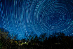 Suburban Swirl Web-1.jpg