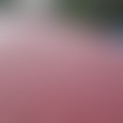 守谷市アパート屋根塗装工事🏠