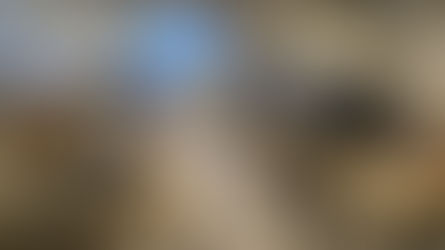 Trokut akademija – poduzetnički RAST nastavlja s predavanjima: Antonija Škugor održala radionicu iz kreiranja vizualnog identiteta!