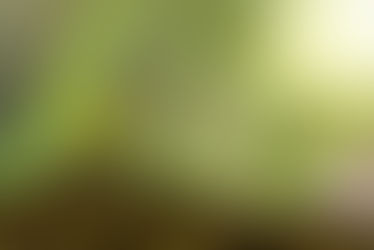 Überbrückungshilfe