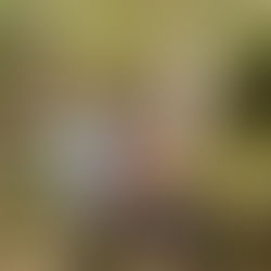 Children exploring Wainui Falls in Golden Bay, New Zealand, standing on rocks by the waterfall surrounded by lush native forest.