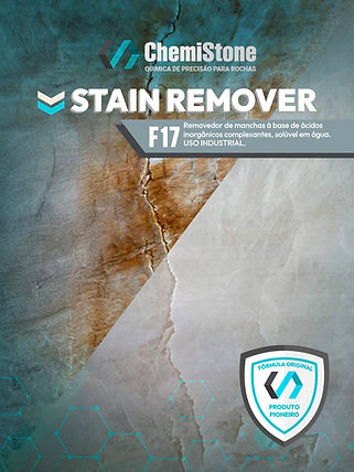 STAIN F17  1L LATA FRENTE.jpg