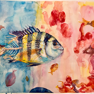 part of a private collection