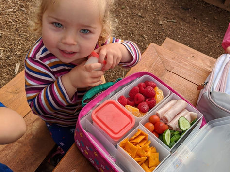 What's a litterless lunch?