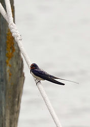 WhatsApp Image 2024-08-03 at 12.35.42 (3).jpeg