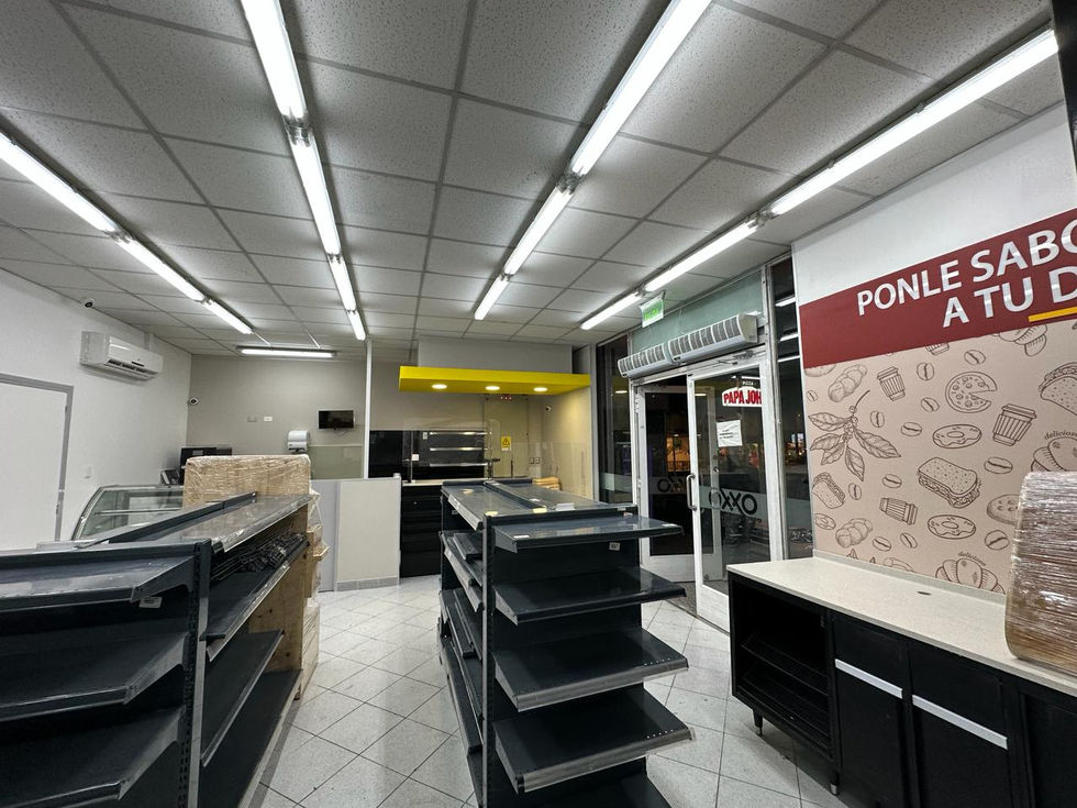 WhatsApp Image 2024-03-19 at 11.37.35 (3)