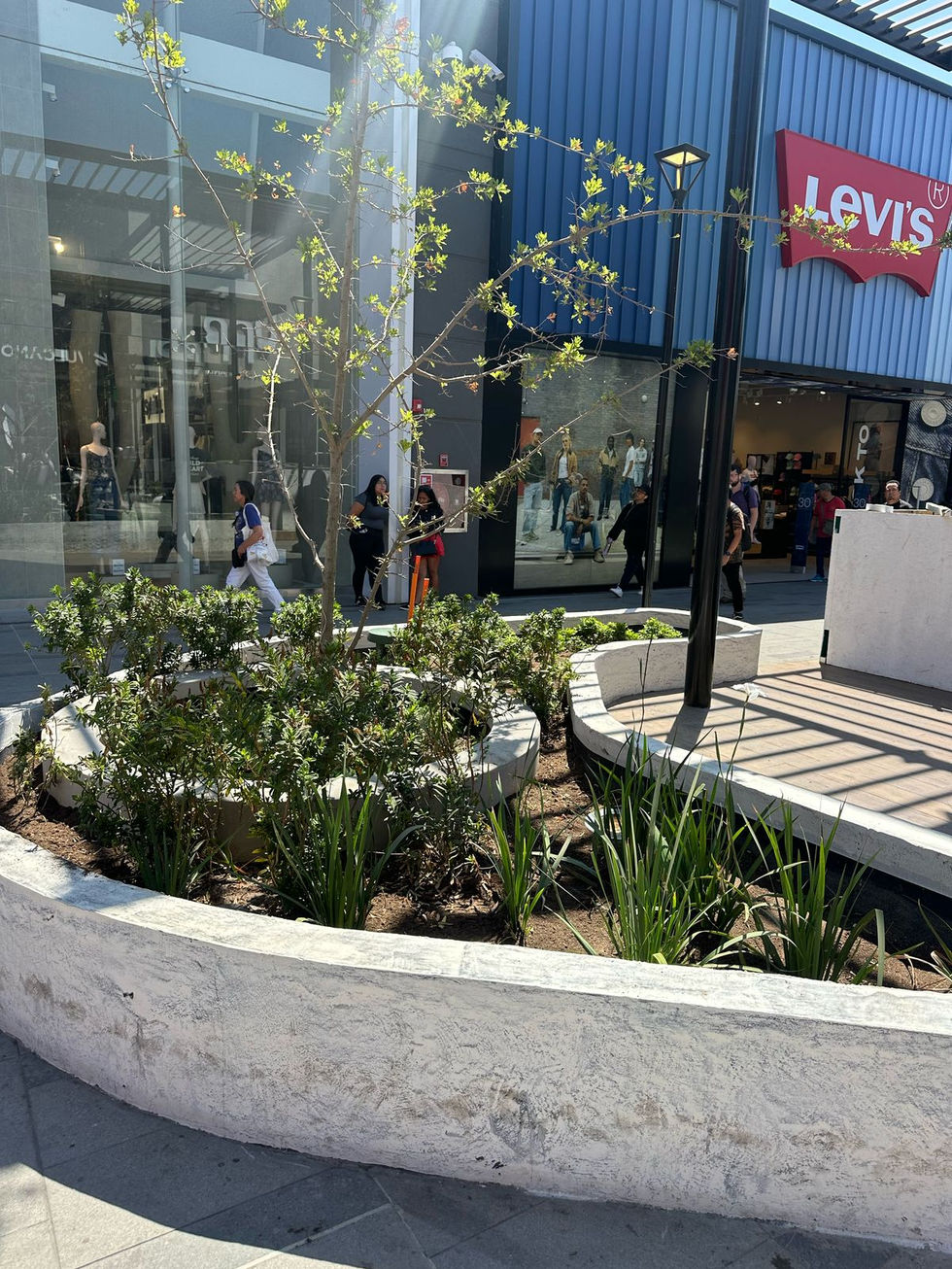 WhatsApp Image 2025-03-04 at 22.22.19