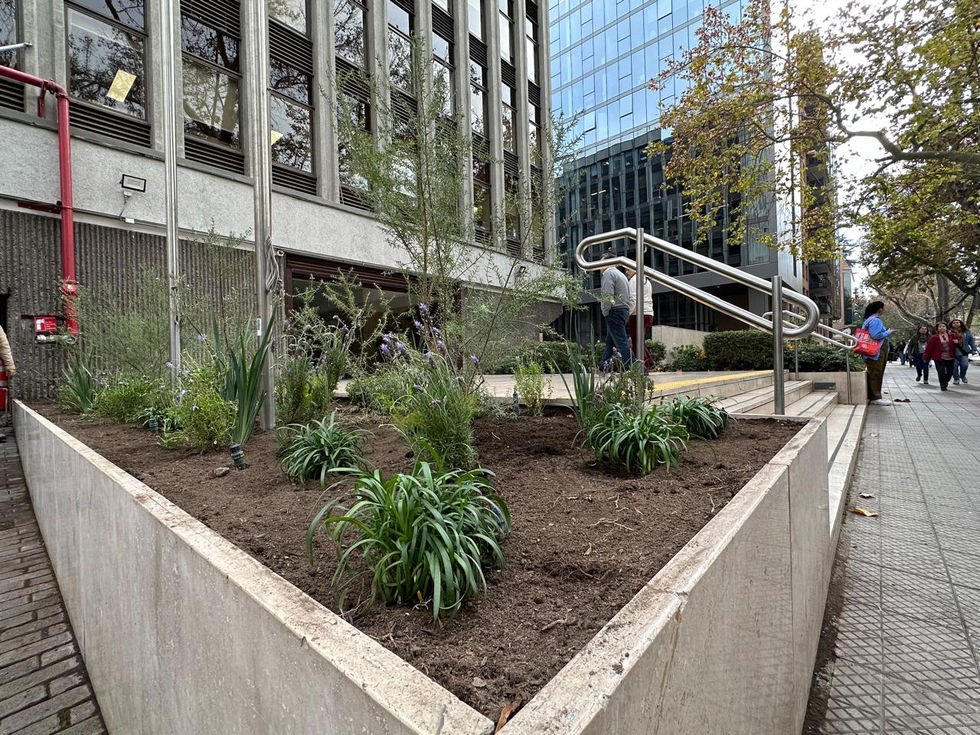 WhatsApp Image 2025-05-05 at 18.31.33 (4)