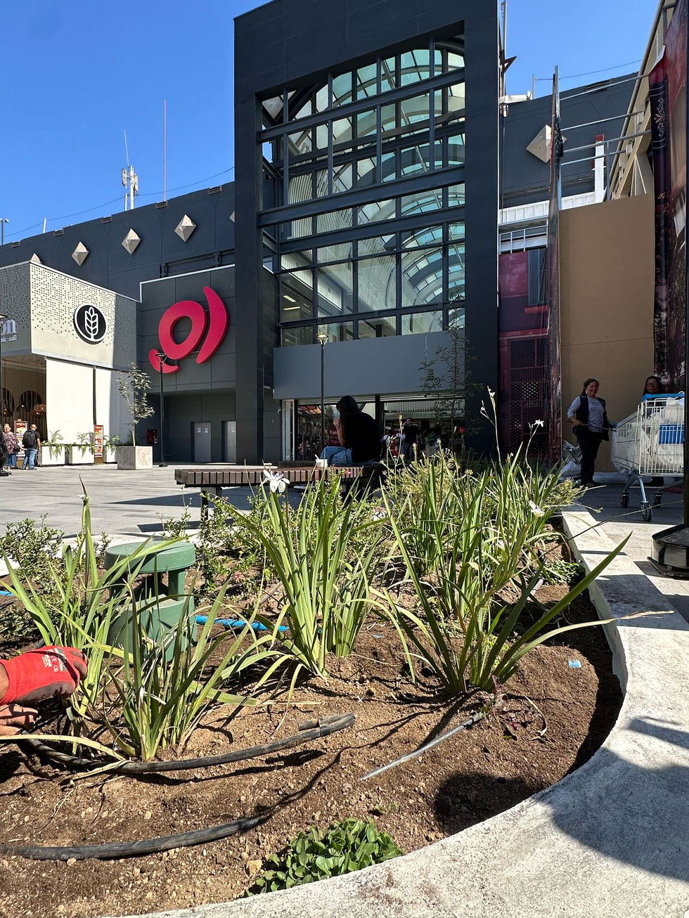 WhatsApp Image 2025-03-04 at 22.22.02