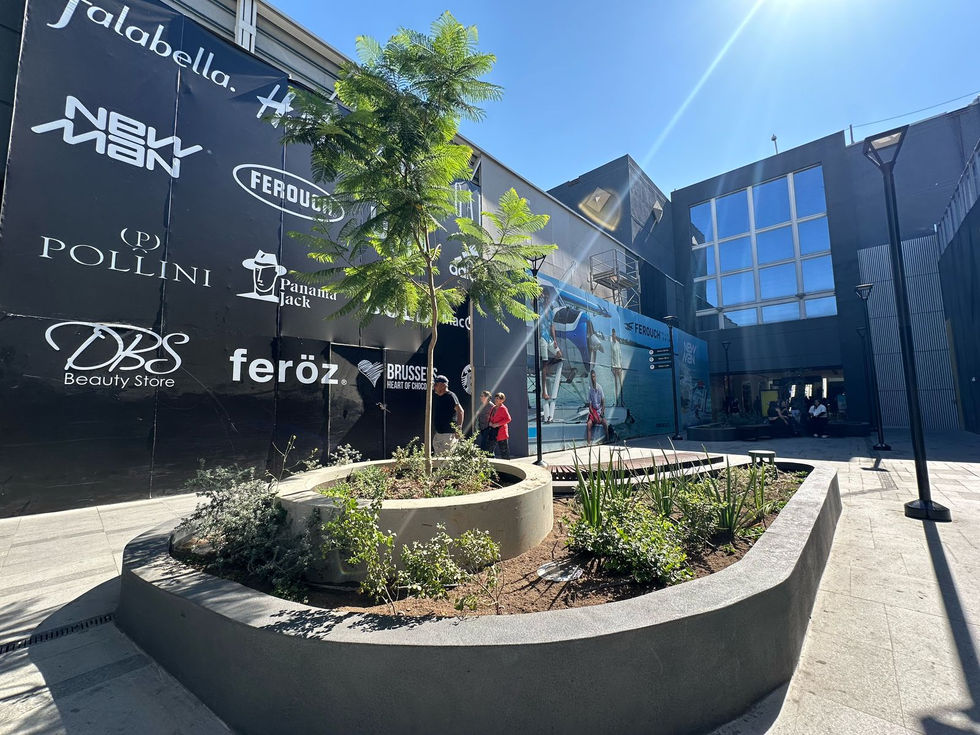 WhatsApp Image 2025-03-04 at 22.22.05