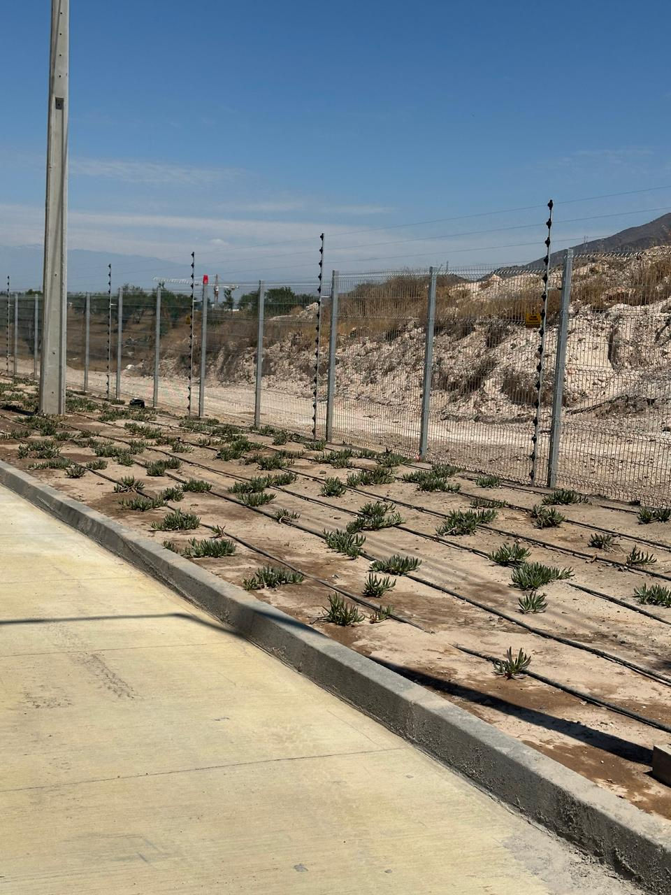 WhatsApp Image 2024-12-08 at 10.15.33 PM (8)