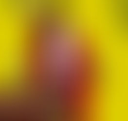 [MAJOR ARCANA] 1 THE MAGICIAN - Pháp sư