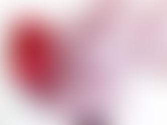 HELADO SOFT - SOFT SERVE