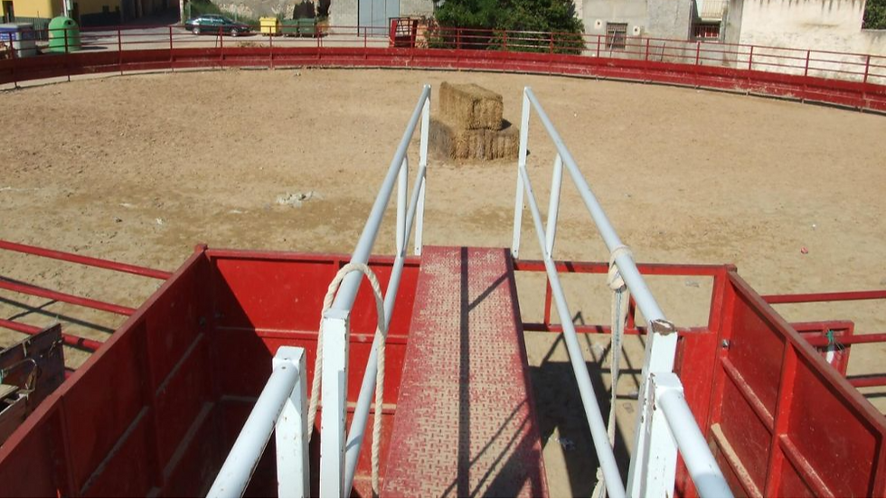 Nuevo requisito en Aragón: los certificados técnicos deberán incluir expresamente los corrales a partir del 15 de julio