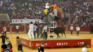 TOROSOCIAL presente en 240 festejos en 2022