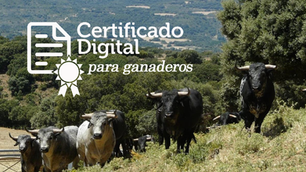 Los Ganaderos tendran que firmar digitalmente los contratos