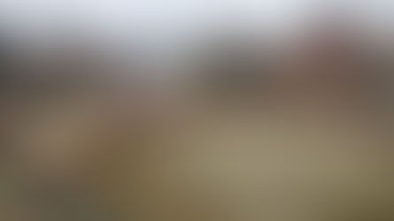 La plaza de toros de Barbastro sigue sus mejoras