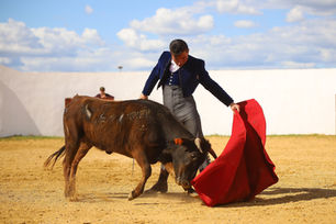 Kilómetros, capotes, muletas y calzonas