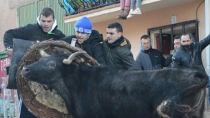 Pozuelo de Aragón con vaquillas para San Jorge