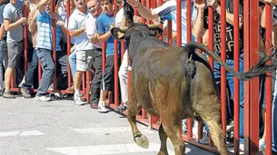 El Gobierno de Aragón refuerza los requisitos técnicos para la certificación de recintos taurinos