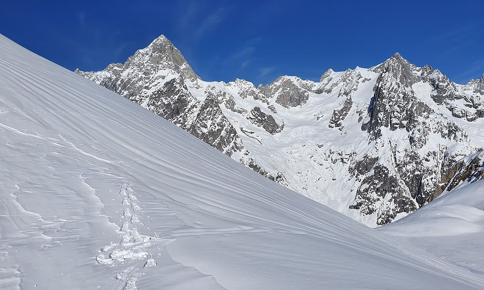 Fig. 4 - La Punta Walker e le Grandes Jorasses dominano la Val Ferret