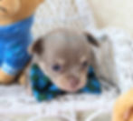 received_254218197764533