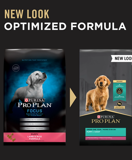 Food Diet Salem S Finest Akc Chihuahuas United States