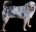 4db30d94-0b23-464f-9882-6c5084a184ac