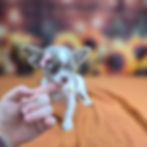 20250908_143832
