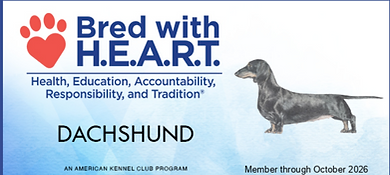 Bred with HEART 2025 Dachshund.png