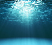 AdobeStock_134537443.jpeg