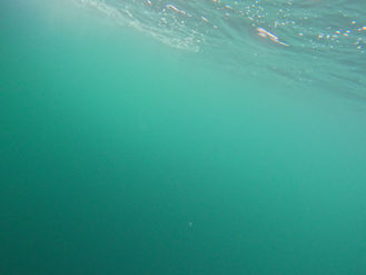 2025.5/31-6/8 知床シャチツアー