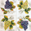 Thumbnail: Luncheon Cocktail Paper Napkins