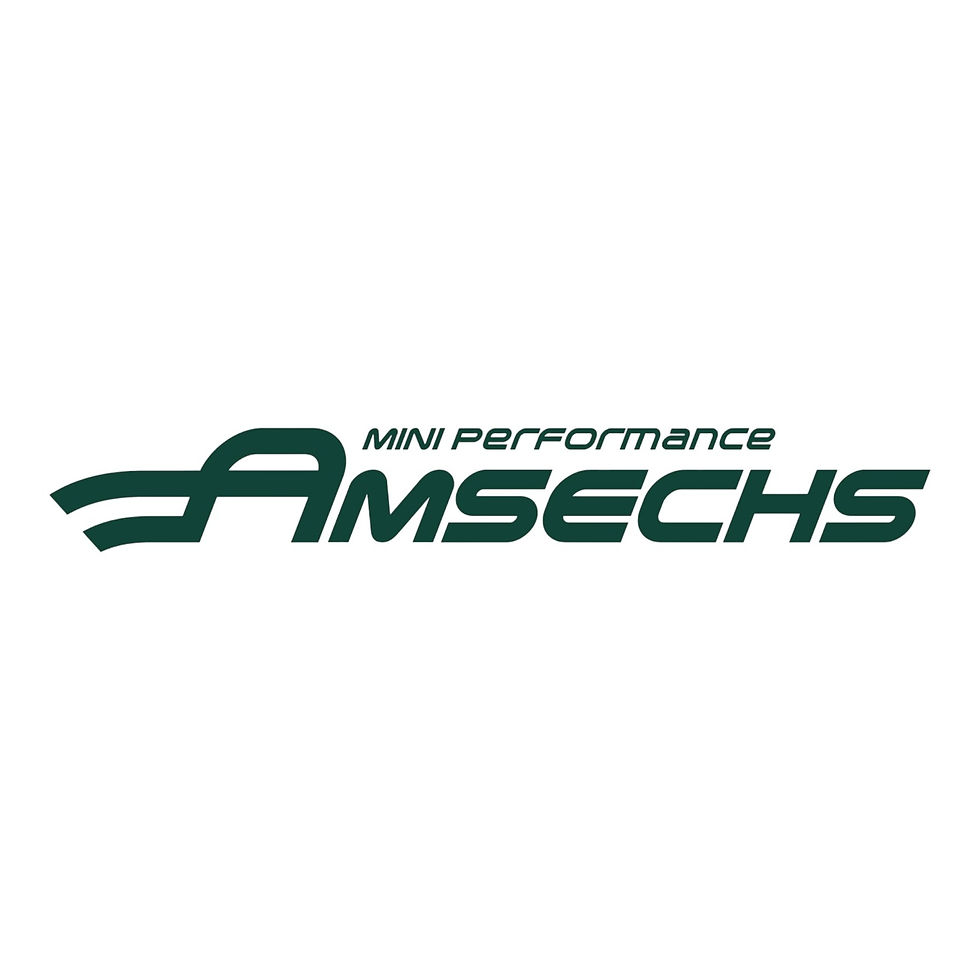 amsechs MINI