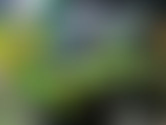 About Us: Upgrade Your MINI with SMPS2012 – Styling Parts, OEM + Aftermarket Accessories & Performance Upgrades