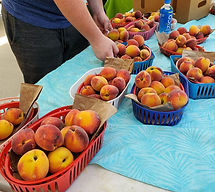 Peaches 2.jpg