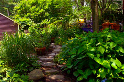 stepping stone.Shade Garden