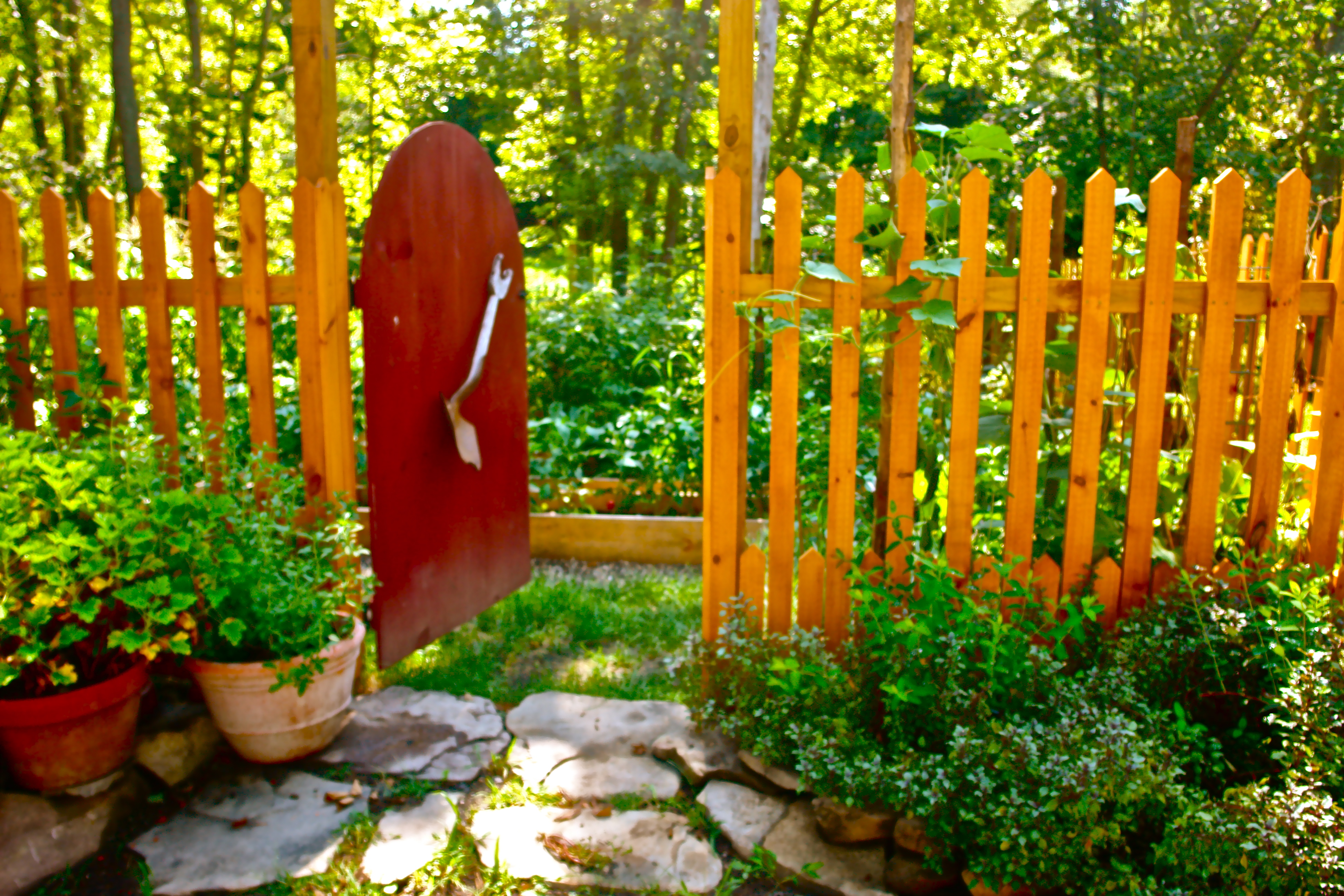 Custom Fence • Gate & setting
