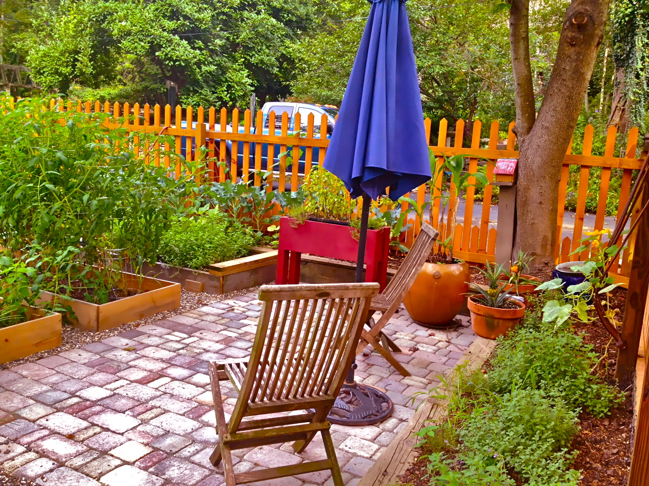 KITCHEN GARDEN
