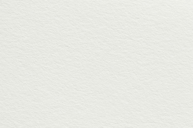 Light Backdrop_edited.jpg