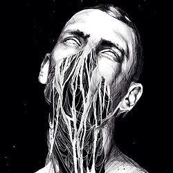 Anders-Rokkum artprint limited signed