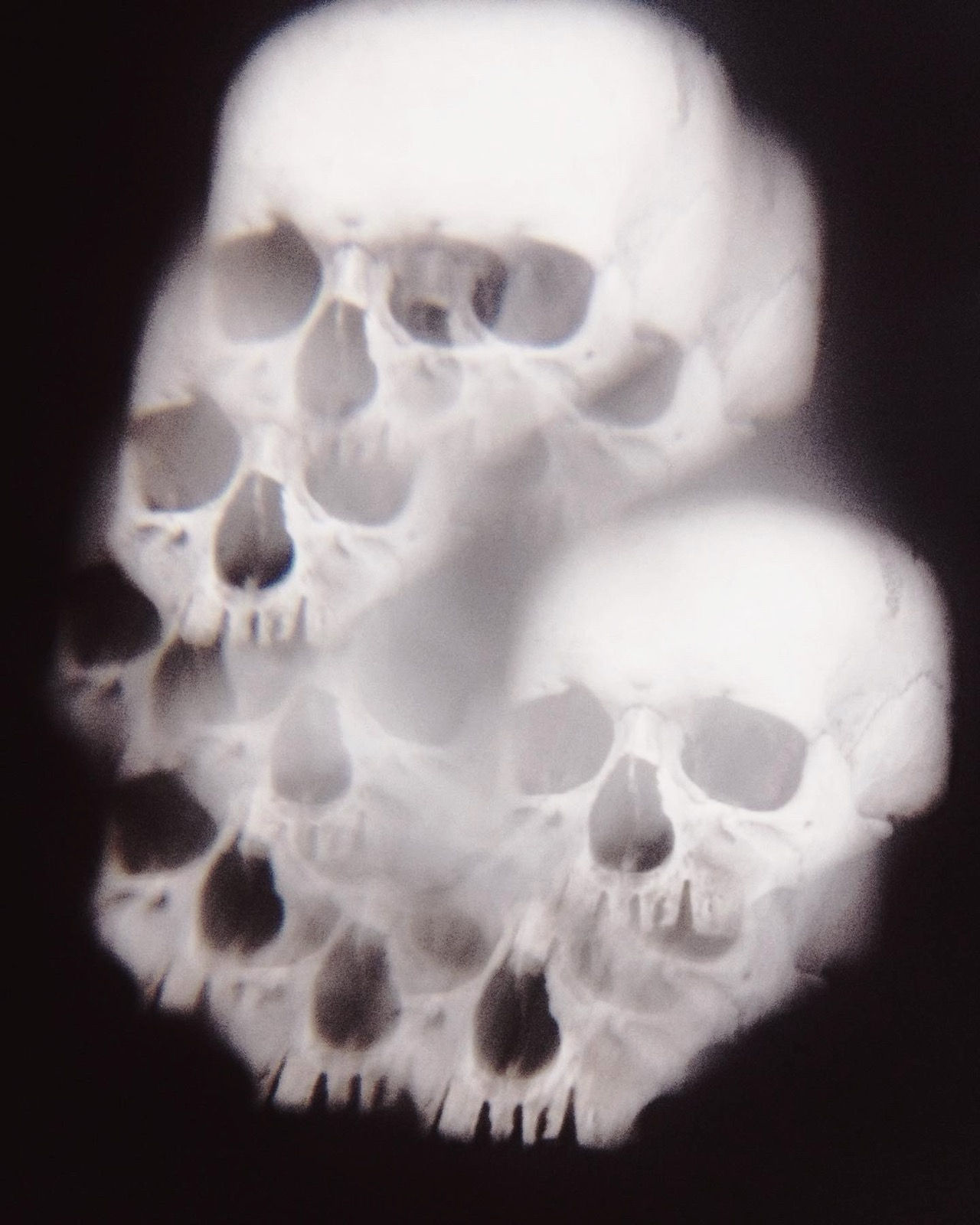 Sedlec / Nona Limmen