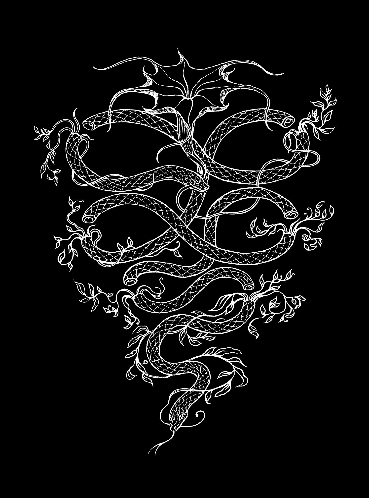 Amphisbaena and Datura / Mariám Zakarian